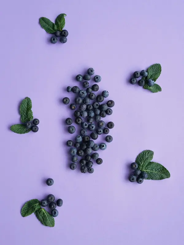 Blueberry.Love Premium Domain